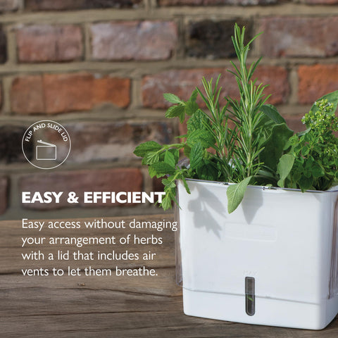 Cole and Mason Fresh Herb Keeper water level indicator helps moisture control