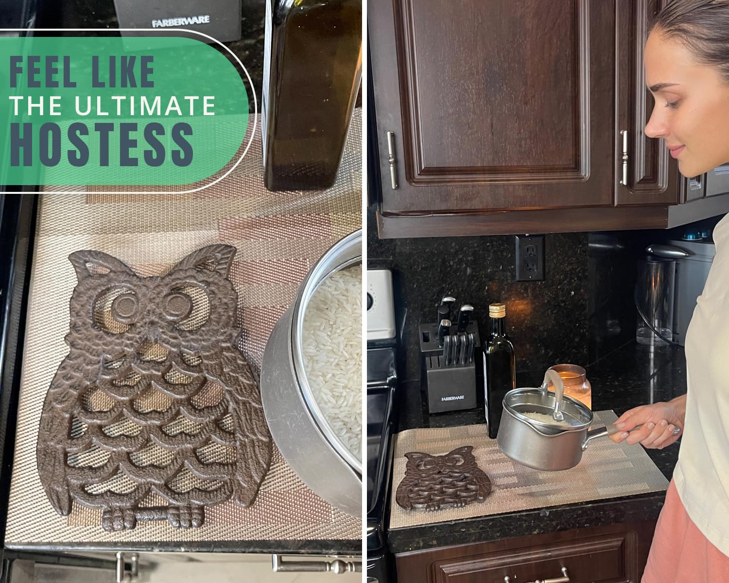 Comfify Cast Iron Owl Trivet used under plant pots for decorative protection