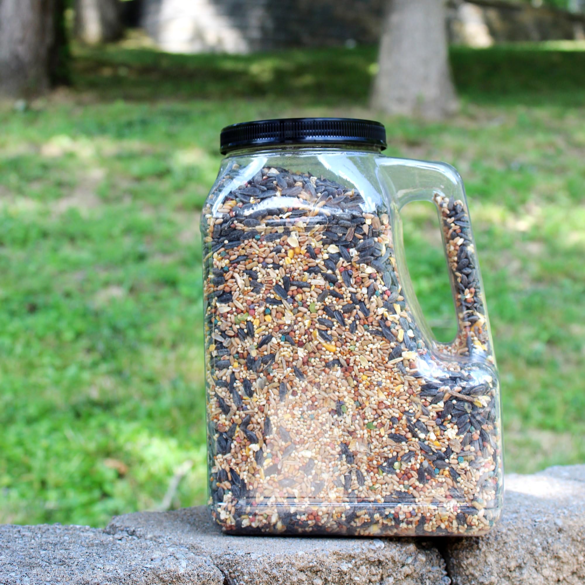 Multi-use Cornucopia Brands jar for dry goods and crafts storage