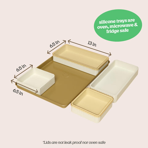 Cravings CT-BBS9 small silicone tray ideal for portions