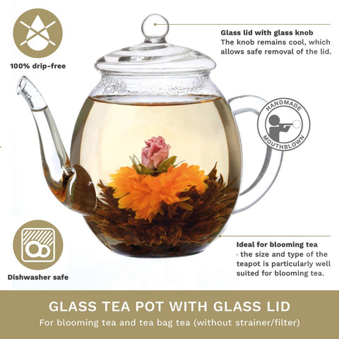 Creano glass teapot body view showing delicate, lightweight design