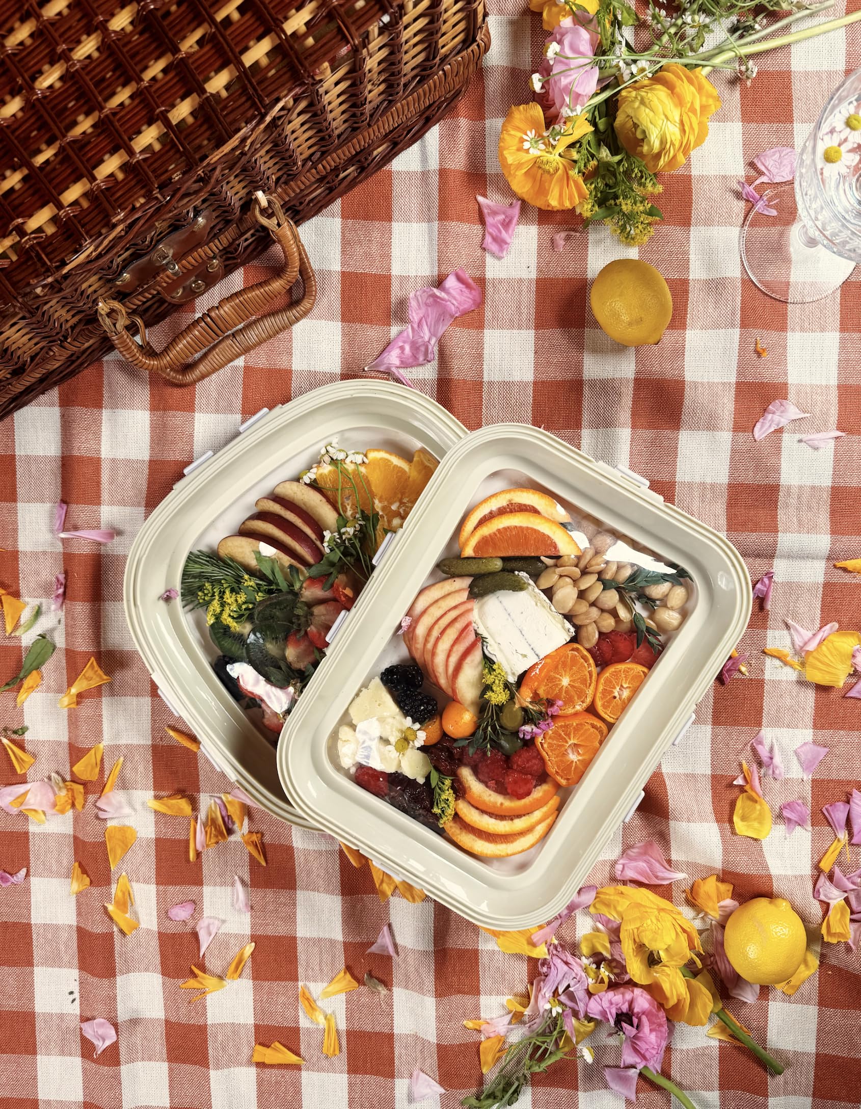 Crudités BPA-free fridge-friendly tray preserves sandwiches and fruits.