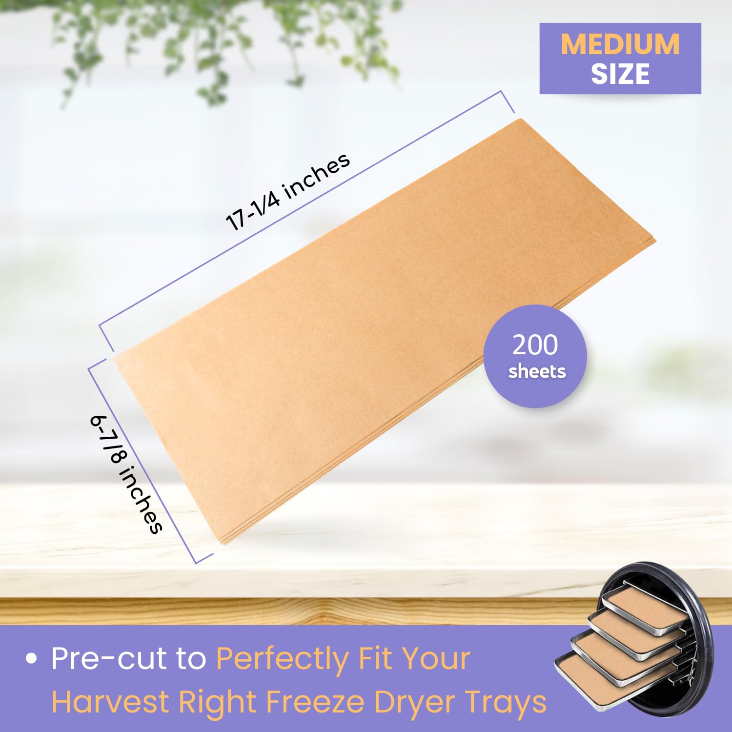 Crunch Co. pre-cut sheets save time during prep and setup.