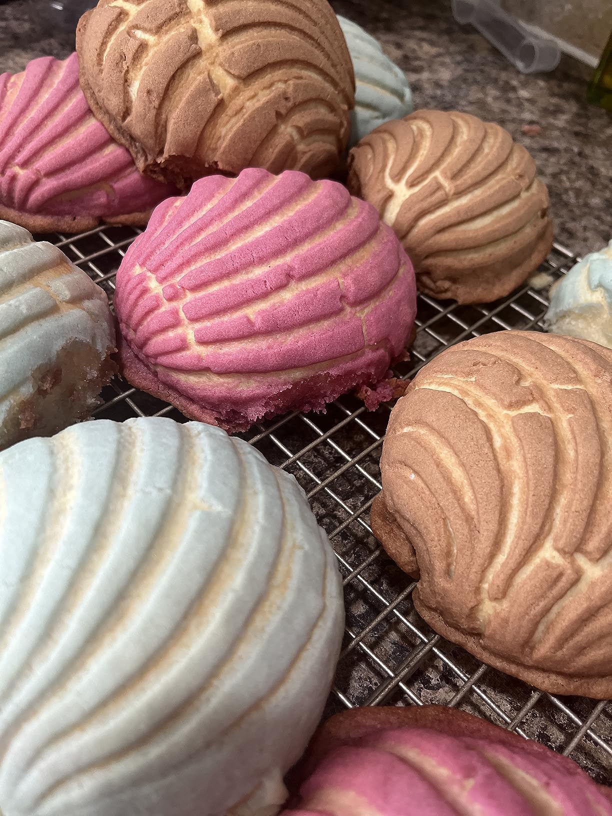 Cuitáxi concha mold linked to downtown Mexico City baking tradition.