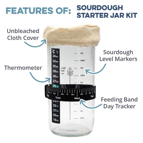 Cultures For Health baking spatula included for easy mixing and feeding