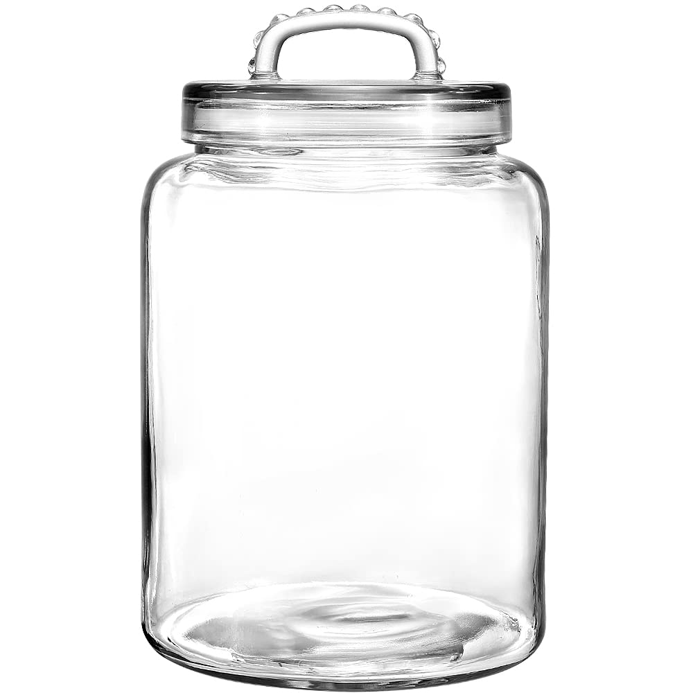 Daitouge 3-gallon glass jar with wide-mouth lid for easy filling and visibility.