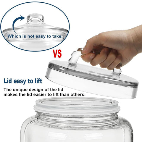 Daitouge BPA-free, lead-free glass jar ensures safe, durable kitchen storage.