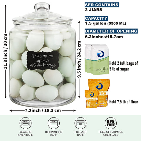 Daitouge clear durable glass kitchen jar display enhances countertop organization