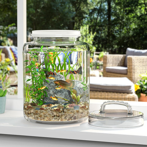 Daitouge clear glass storage canister showcases contents while organizing pantry essentials.
