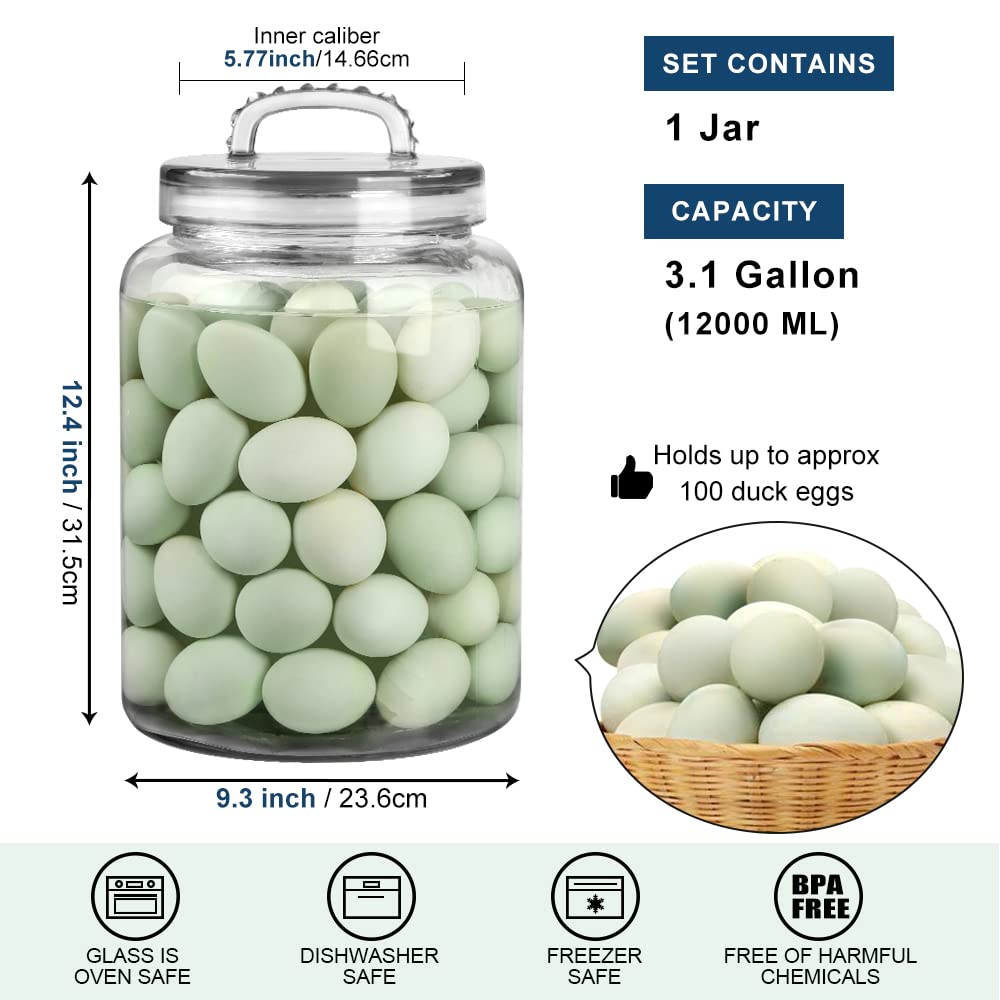 Daitouge dishwasher-safe glass storage jar simplifies cleaning after use.