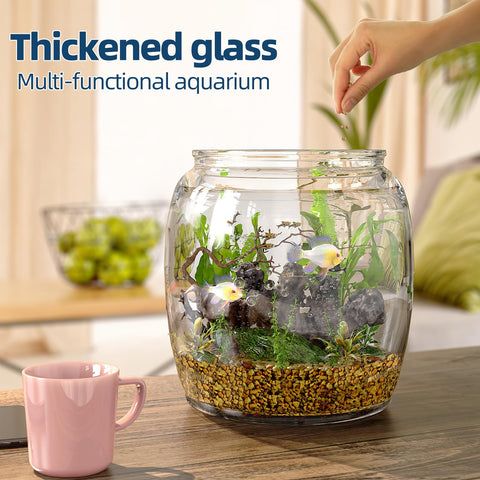 Daitouge large-mouth jar clearly displays contents for quick checks.