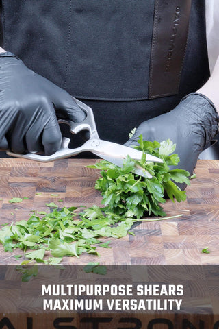 Dalstrong kitchen scissors trimming fresh herbs for flavorful meals.