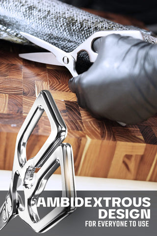 Dalstrong kitchen scissors cracking nutshells with built-in shell cracker.
