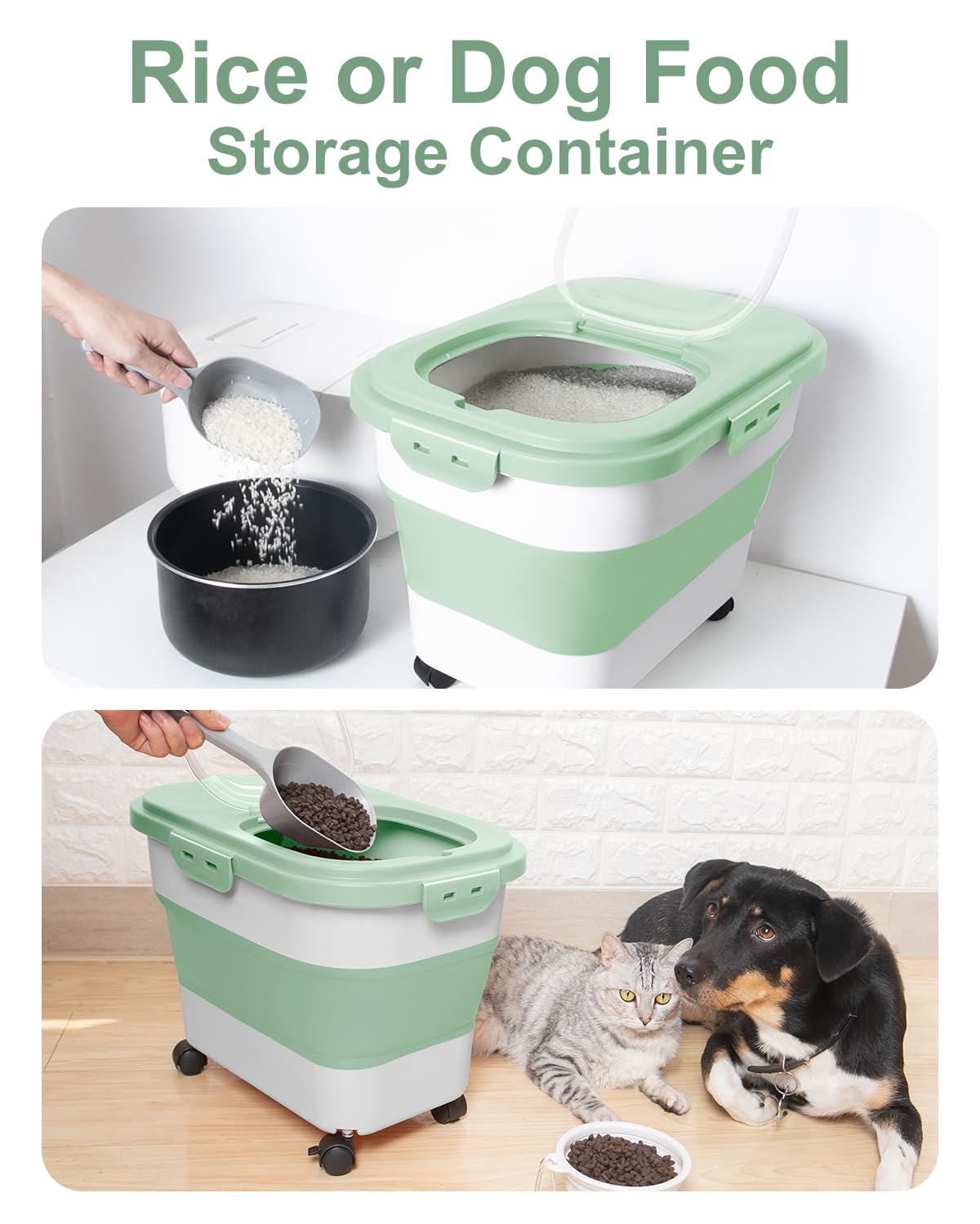 DDMOMMY container includes scoop and cup for easy portioning