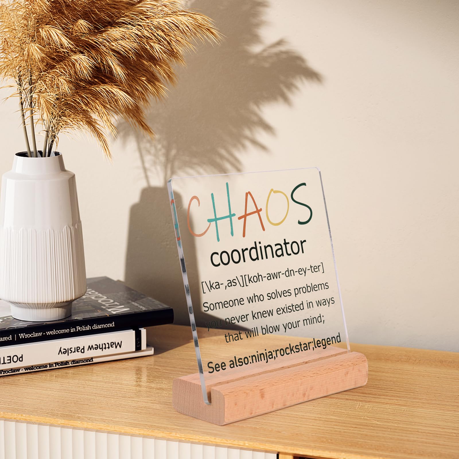 ddnzhe Chaos Coordinator acrylic sign brightens the desk with playful motivation
