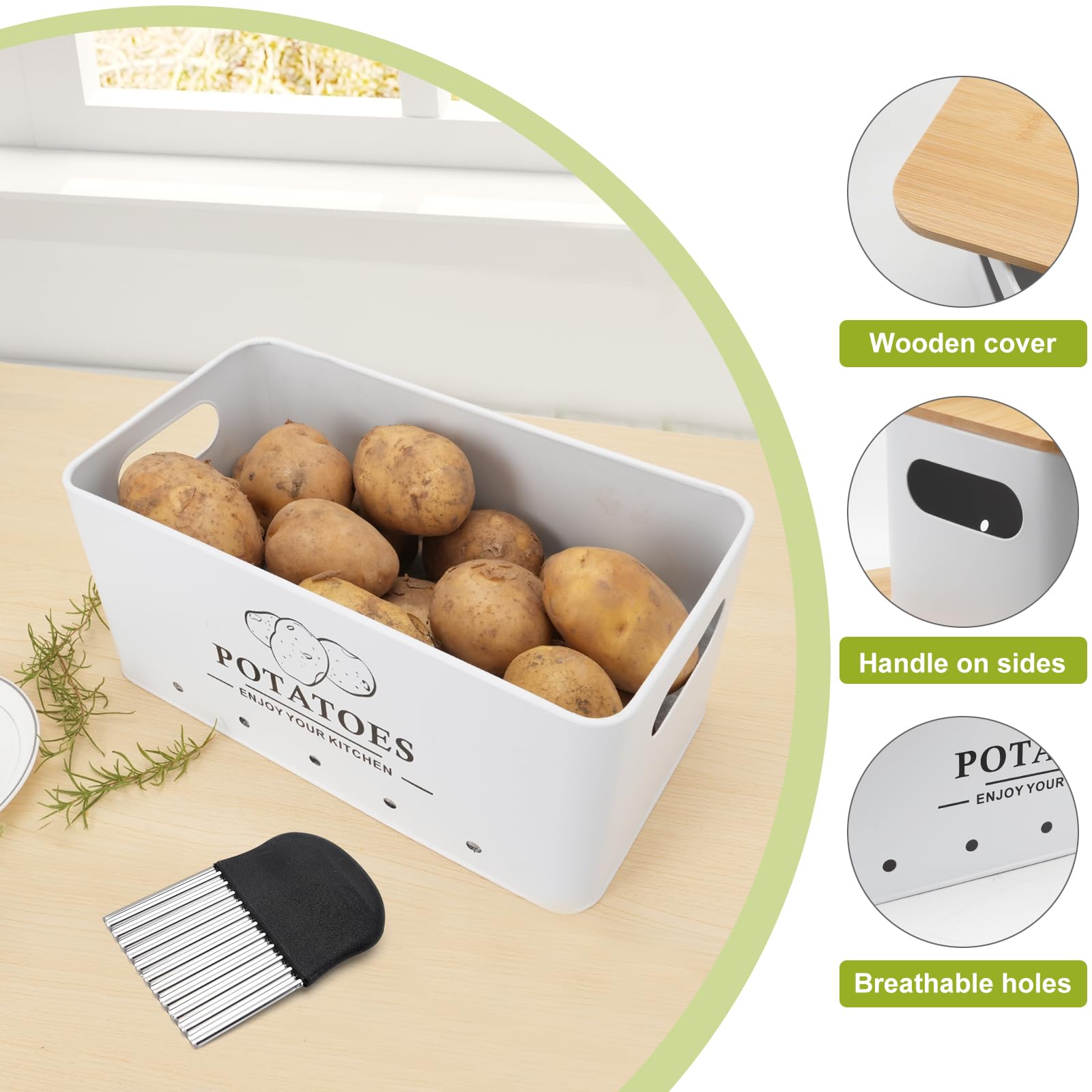 Dekosilave garlic storage container holds multiple heads with clear labeling.