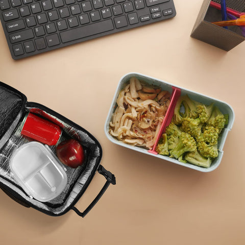 Picnic-ready Deosk lunch bag illustrates portable insulation for snacks.