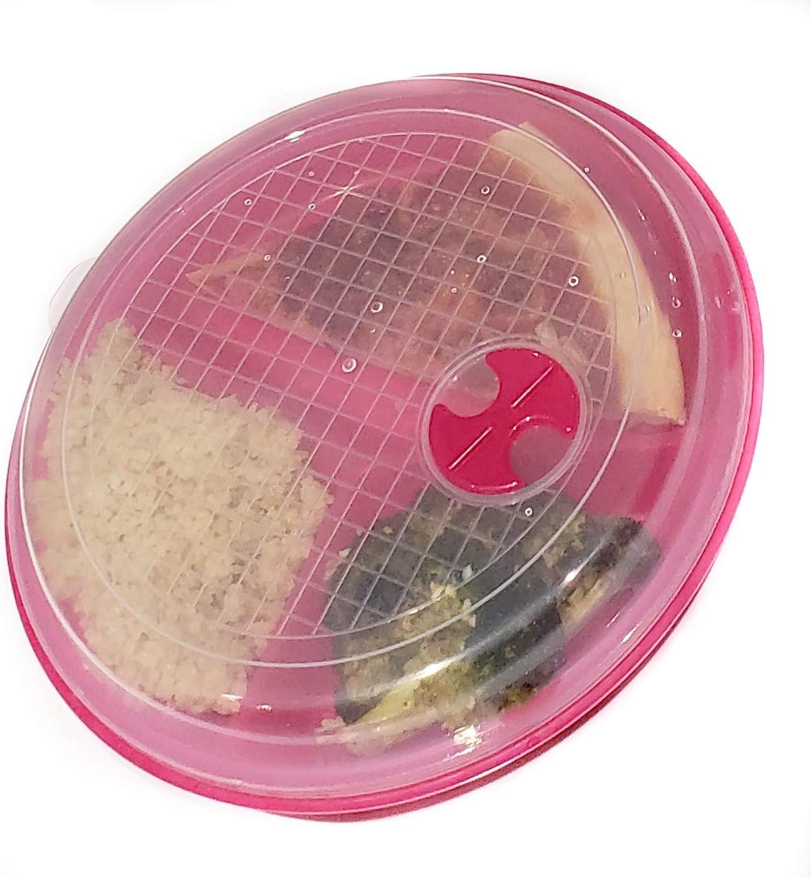 Dependable Essentials kids meals plate designed for school lunches