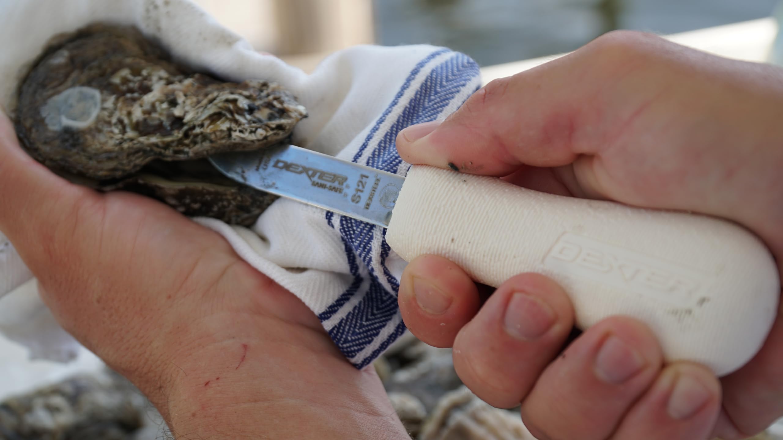 Dexter Outdoors oyster knife ideal for high-volume kitchen prep