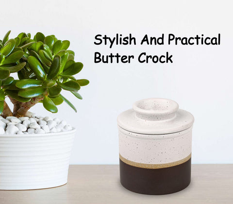 dgudgu butter keeper for countertop shows water line and easy daily use