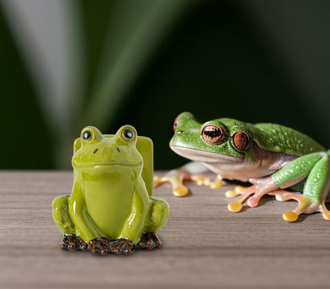 dgudgu frog sponge holder boosts kitchen organization and efficiency.