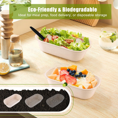 DI QIU REN office lunch pack container for daily meals