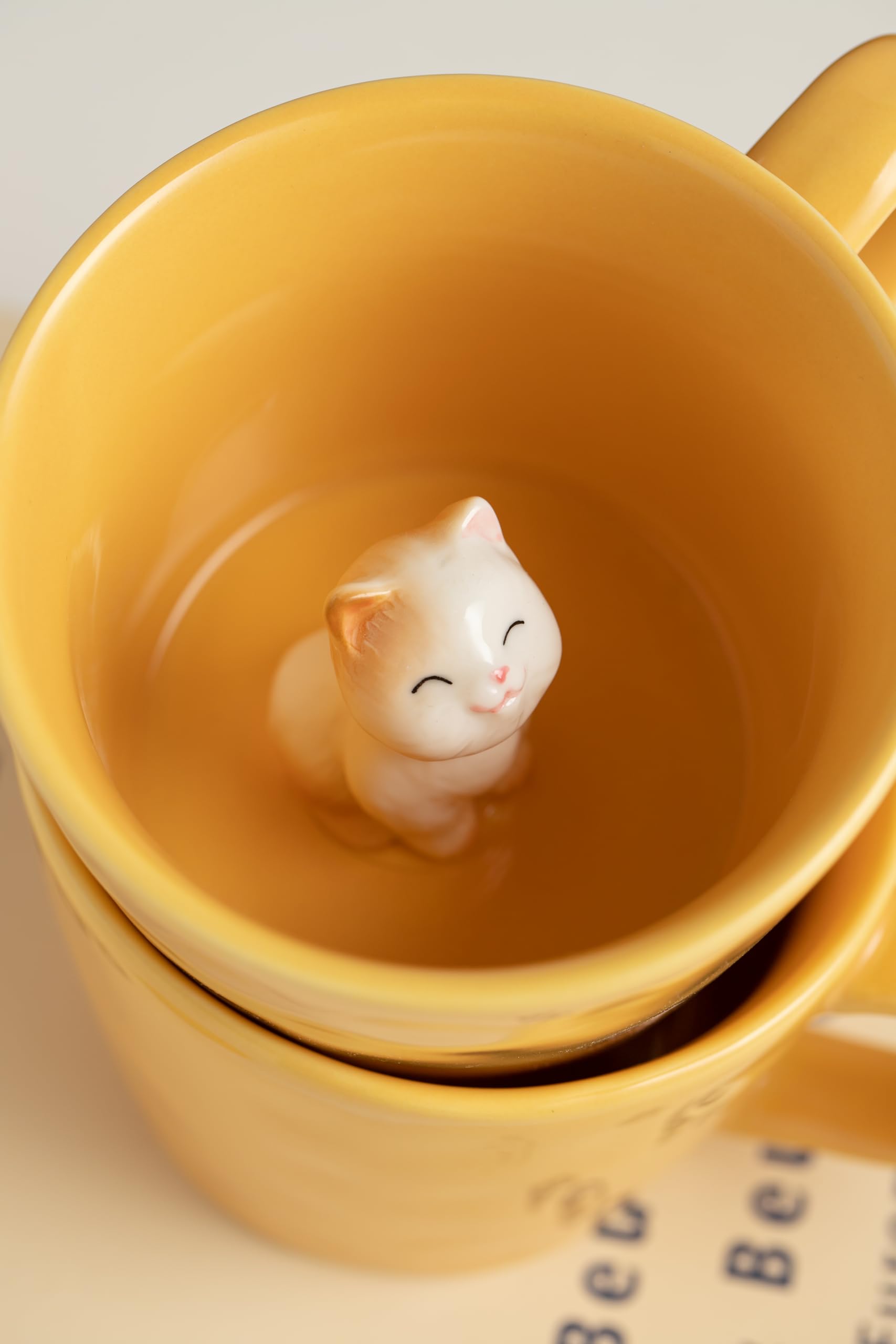 DIHOclub bottom cat reveal design makes each mug unique