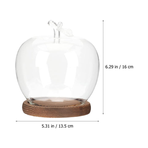 DOITOOL desert cloche dome showcases a tiny landscape under glass.