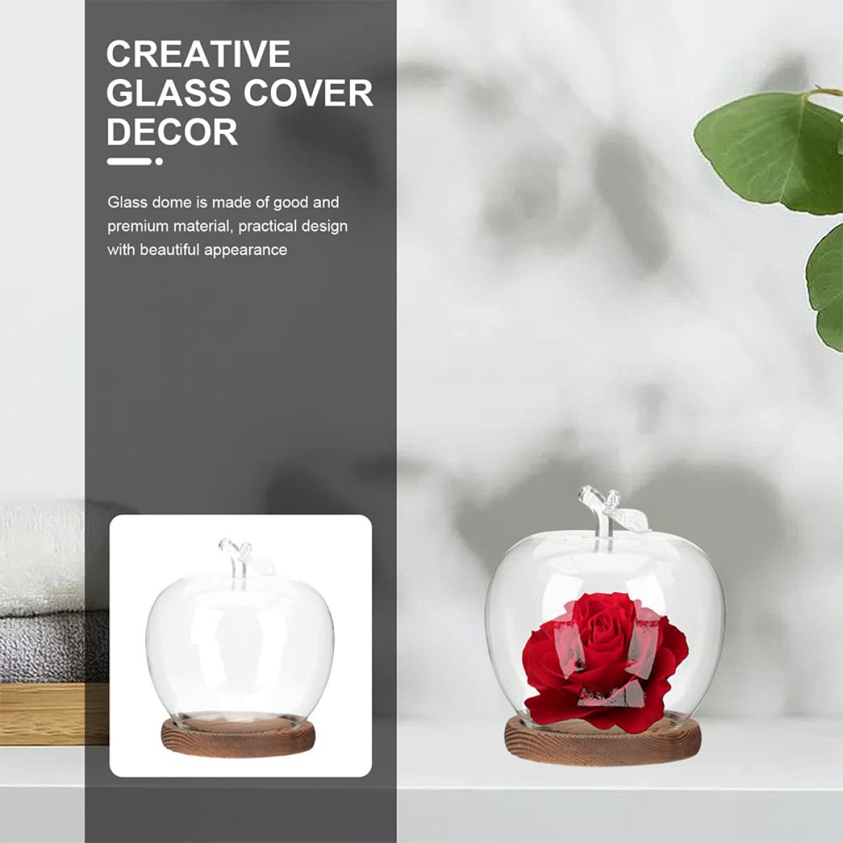 DOITOOL clear glass dome for office desk decor and focus.