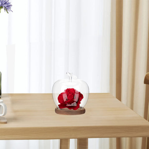 DOITOOL glass dome with figurine creates charming indoor decor.