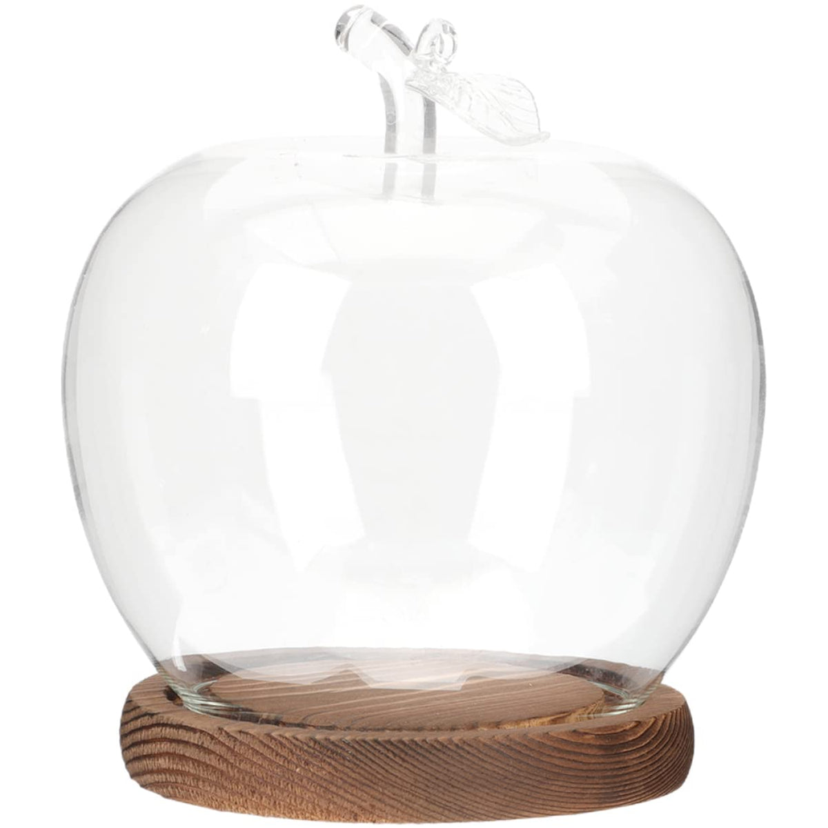 DOITOOL glass dome cover over preserved flowers enhances elegant desk display.