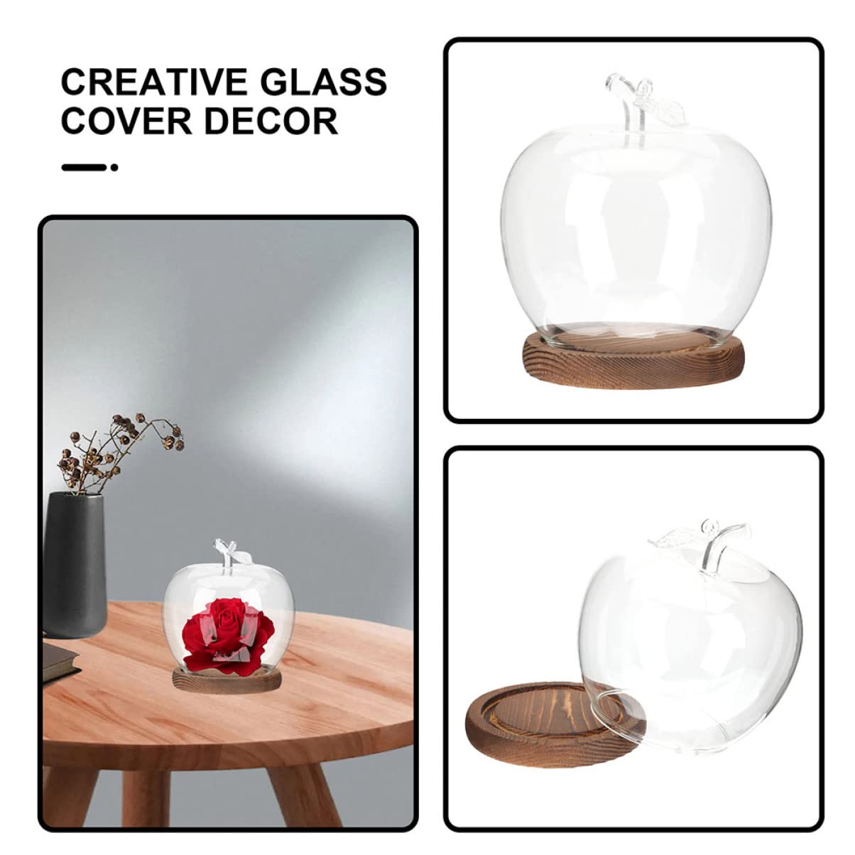 DOITOOL modern display dome complements minimalist home interiors.