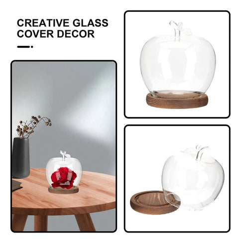 DOITOOL modern display dome complements minimalist home interiors.