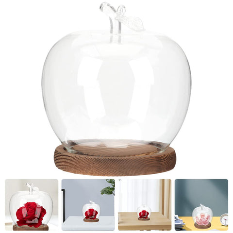 DOITOOL succulent under glass dome adds a touch of greenery.