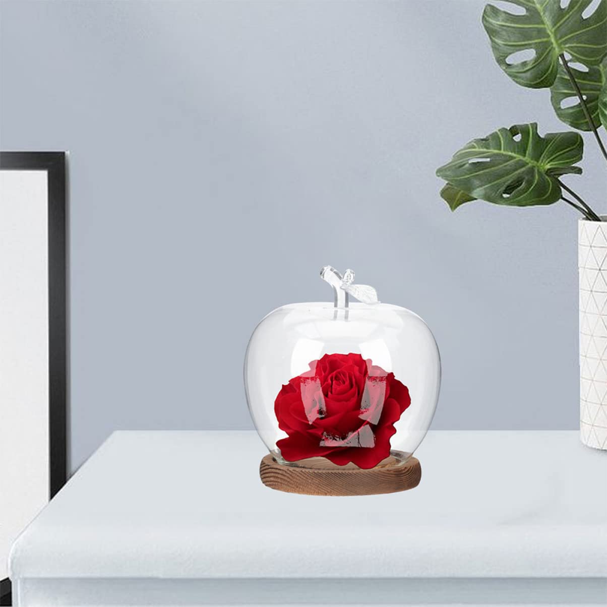 DOITOOL Valentine’s Day décor with glass dome and preserved flowers.