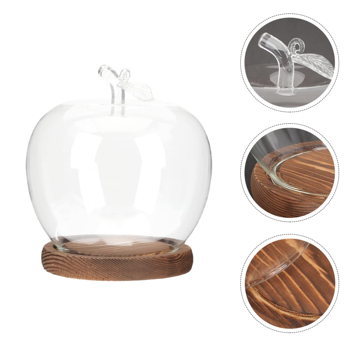 DOITOOL wooden base provides stable support for the dome display.