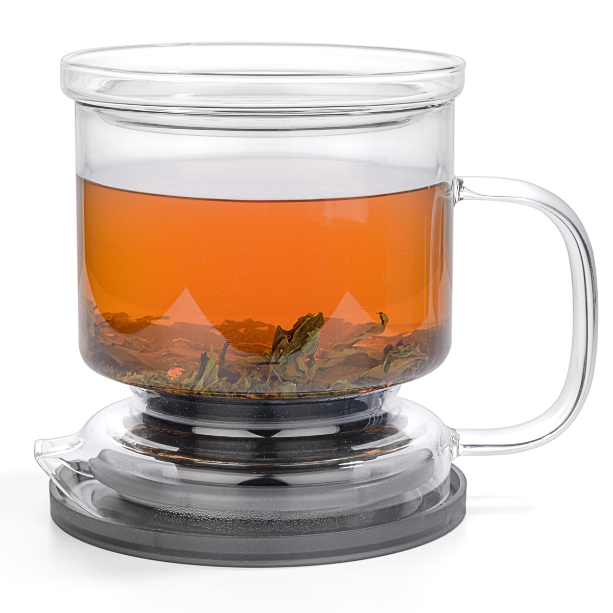 Dokaworld glass tea infuser borosilicate with crystal clarity for clean, crisp brews.