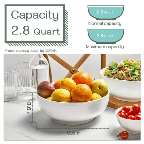 DOWAN microwave-safe bone china bowls ready for quick reheats.