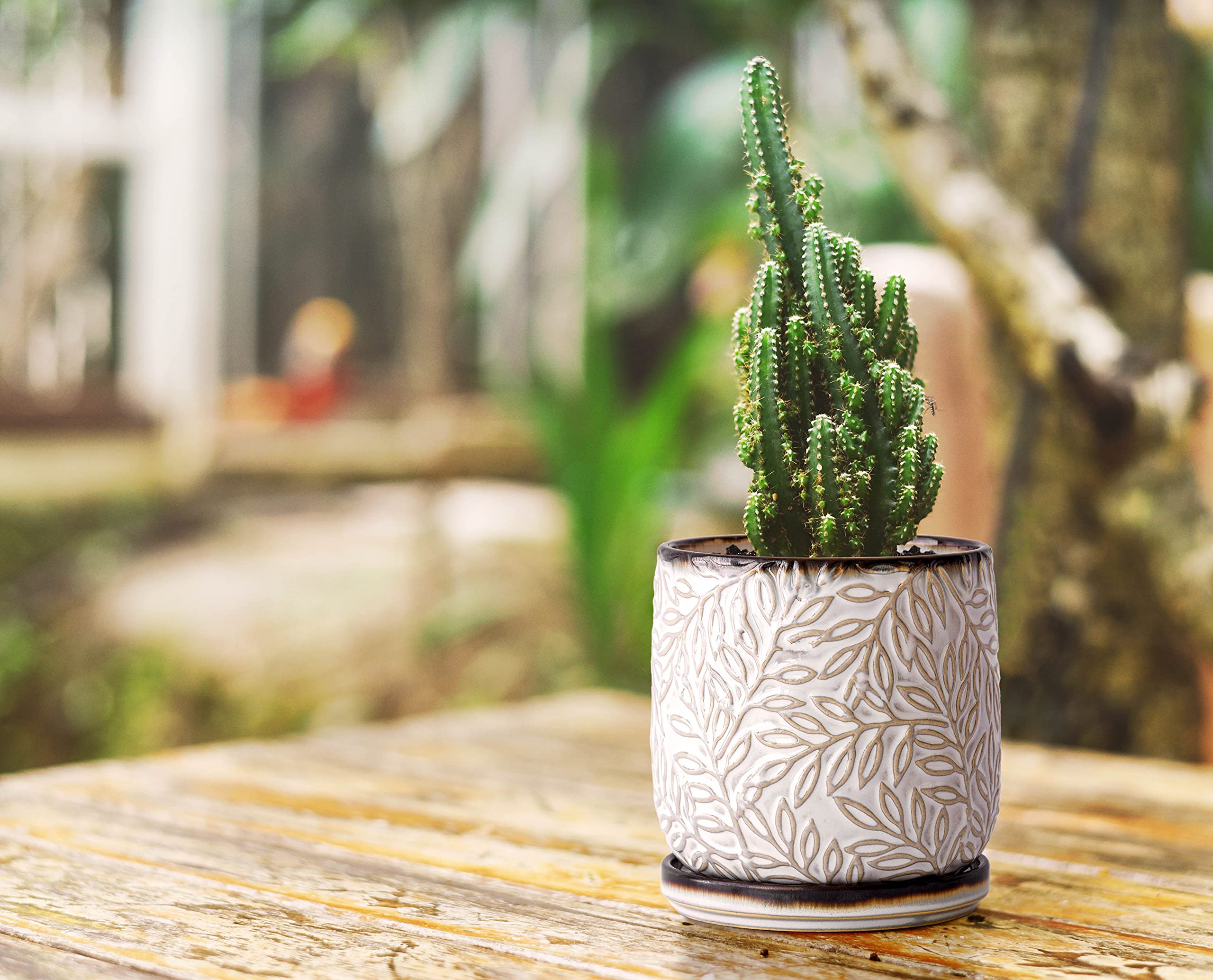 D'vine Dev 4-inch planter side angle emphasizes compact, space-saving design.