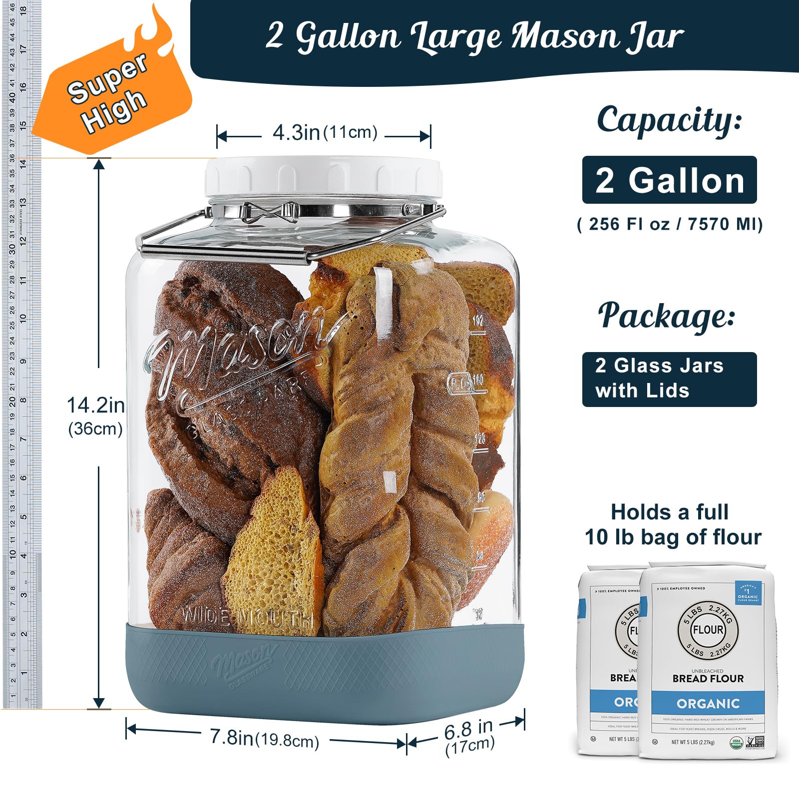 Dwbligt airtight lid with silicone gasket preserves contents and freshness.