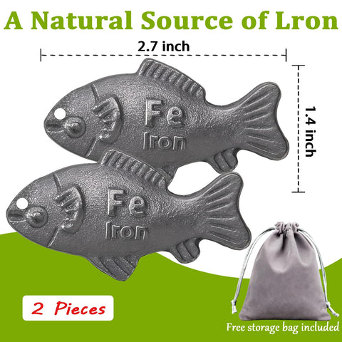 DWETG iron fish ready for daily-use in the kitchen