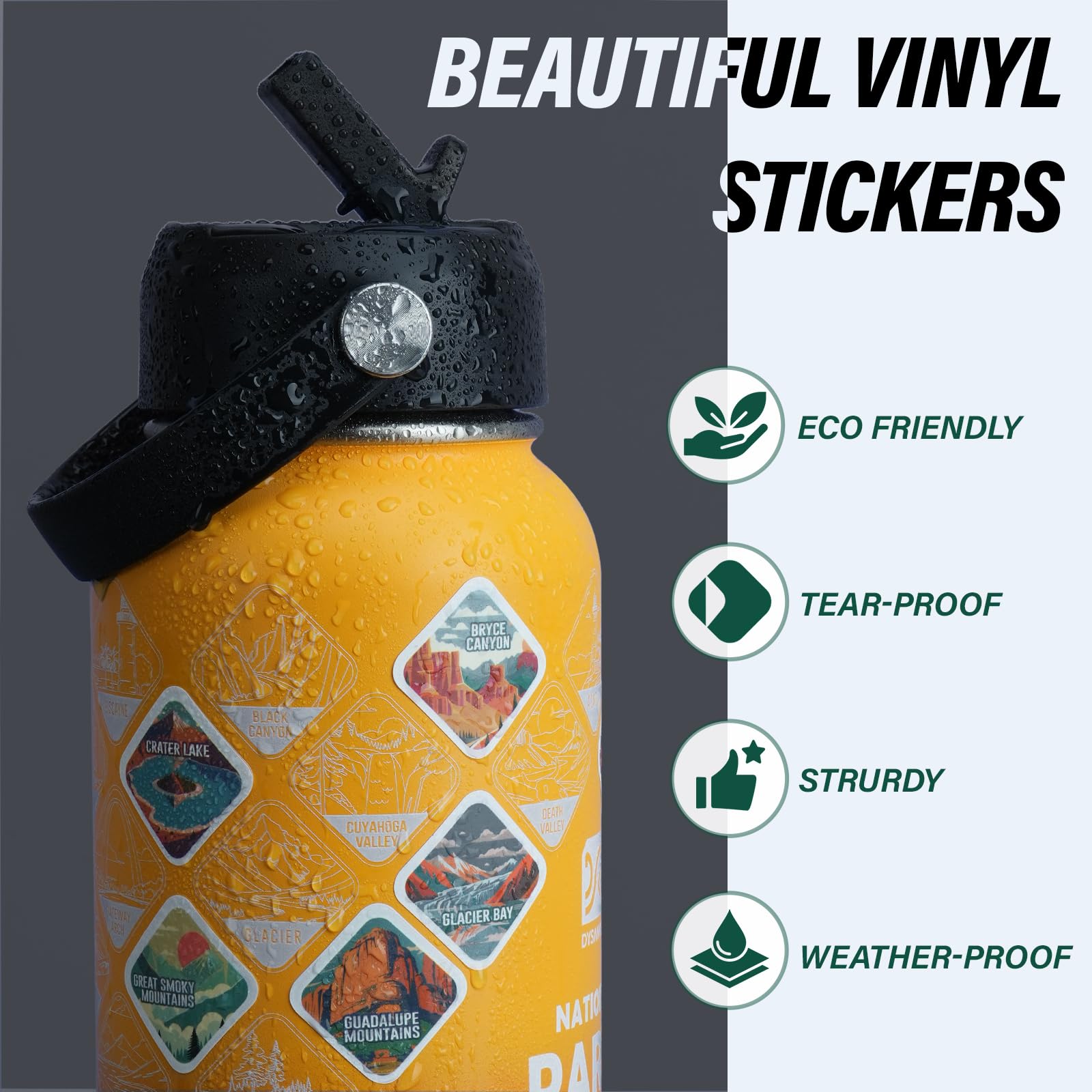 DYSANKY leak-proof lids offer direct drink and straw options