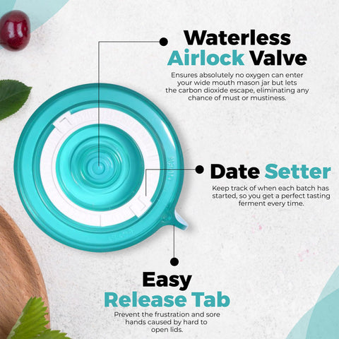 Easy Fermenter leakproof gasket ensures airtight seal for consistent results