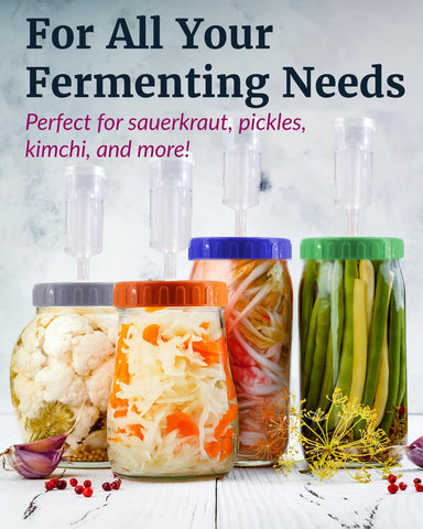 Elementi fermentation setup with water-filled airlock ready for process.