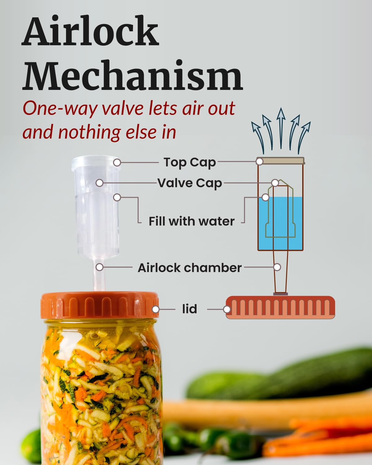 Elementi silicone flip-top grommet highlights reusable fermentation accessory.