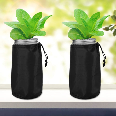 Emsiok Kratky hydroponics setup demonstrates passive growing potential.