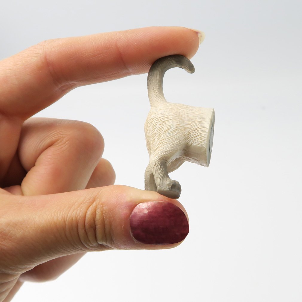 Evelots cat butt magnets featuring a variety of popular breeds