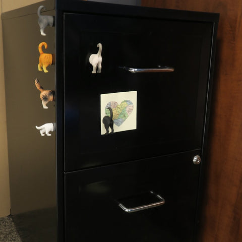 Evelots cat butt magnet on fridge displaying a photo