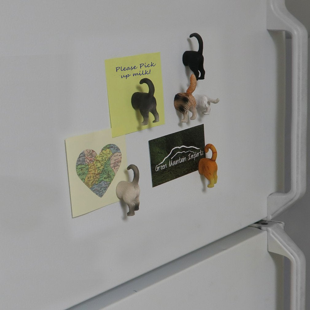 Evelots cat butt magnet gripping keys on a locker