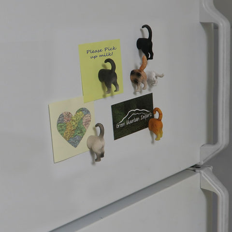 Evelots cat butt magnet gripping keys on a locker